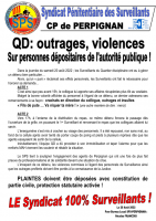 Perpignan violence