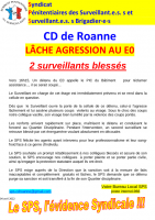 Roanne 3