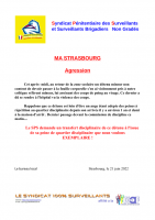 Strasbourg agression